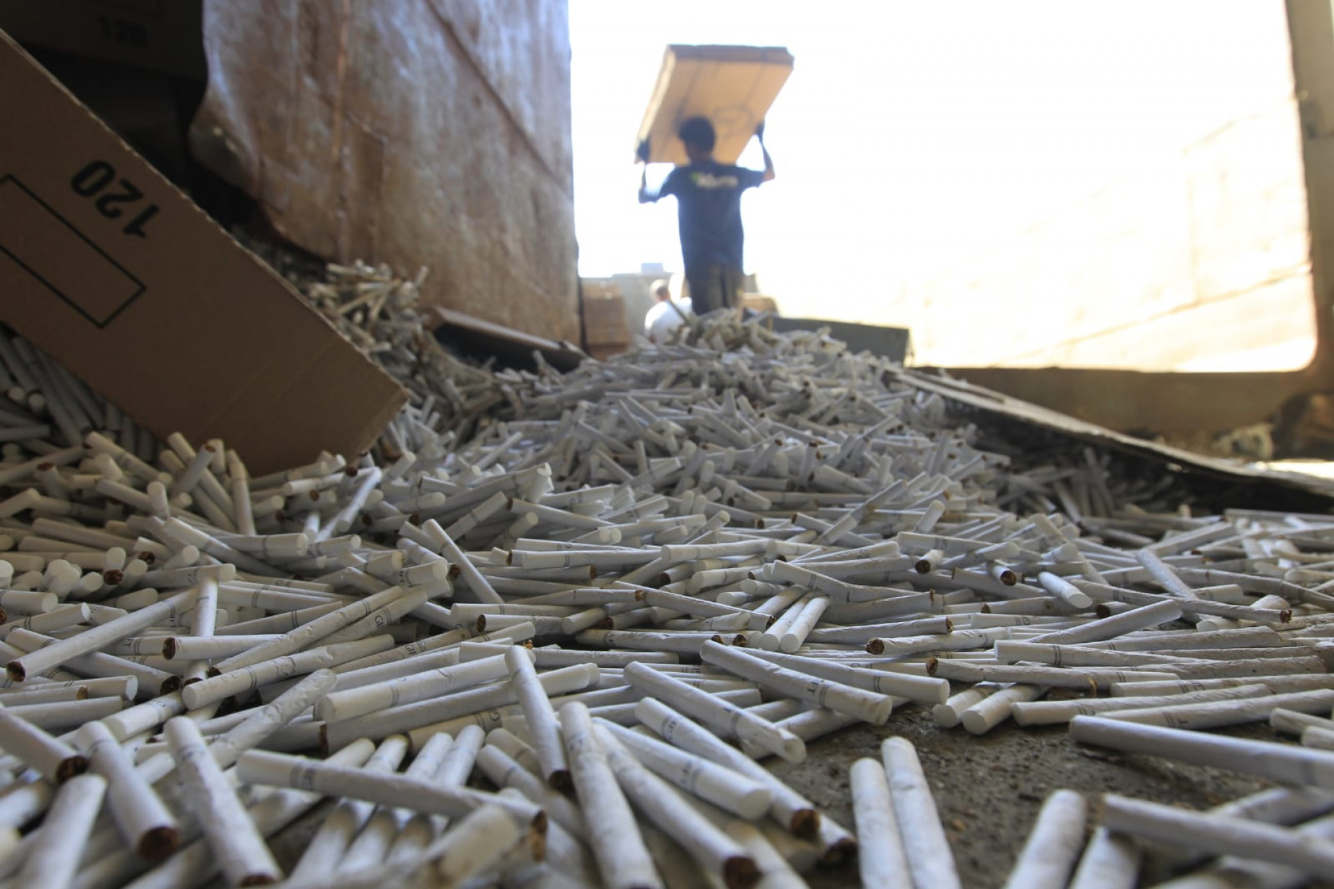 Cigarros produzidos na fábrica clandestina são da marca Gift, que têm a comercialização proibida pela Anvisa e Receita Federal - Reginaldo Pimenta/Agência O Dia