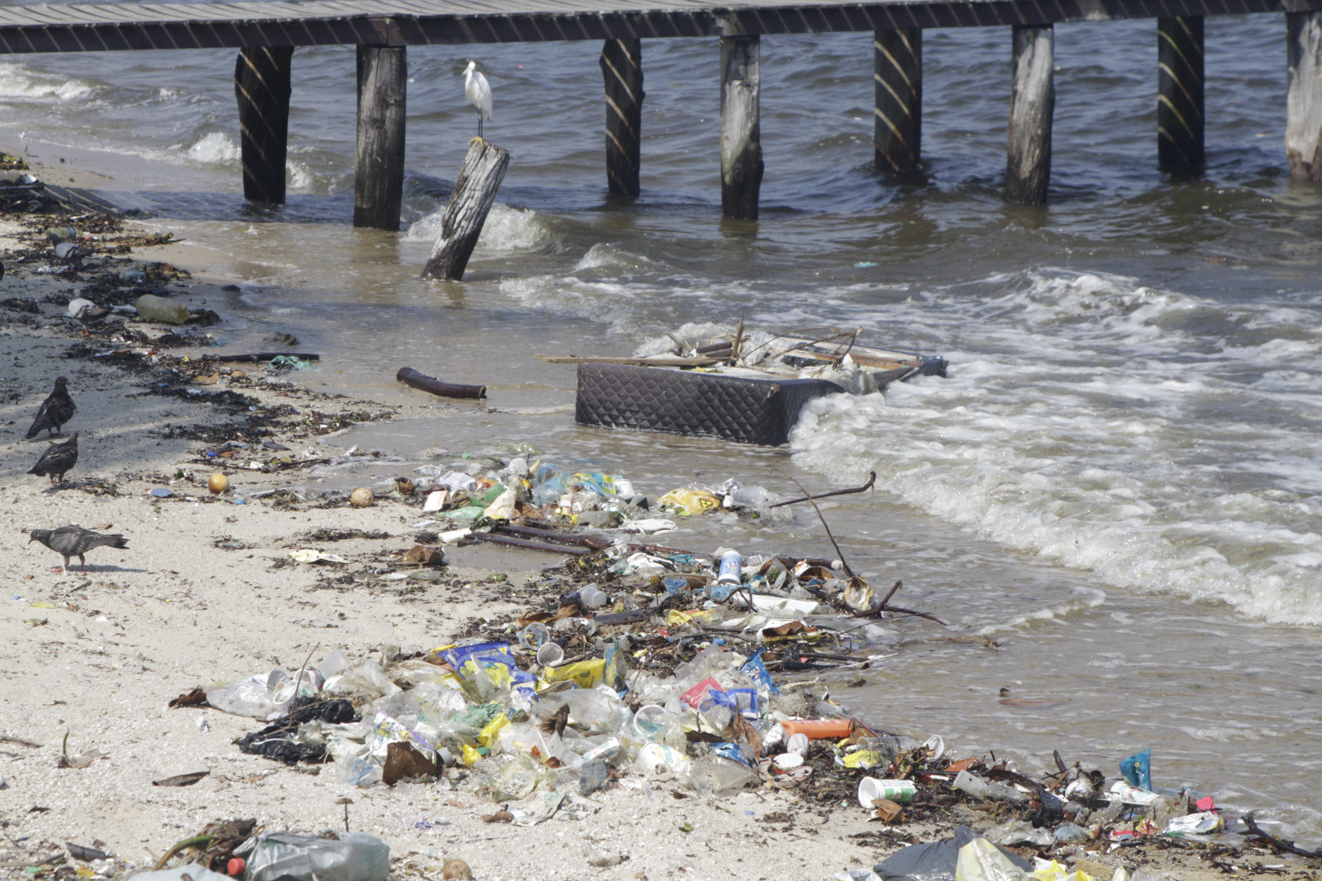 Praia da Bica, na Ilha do Governador, fica tomada por lixos e entulhos corriqueiramente - Marcos Porto / Agência O Dia