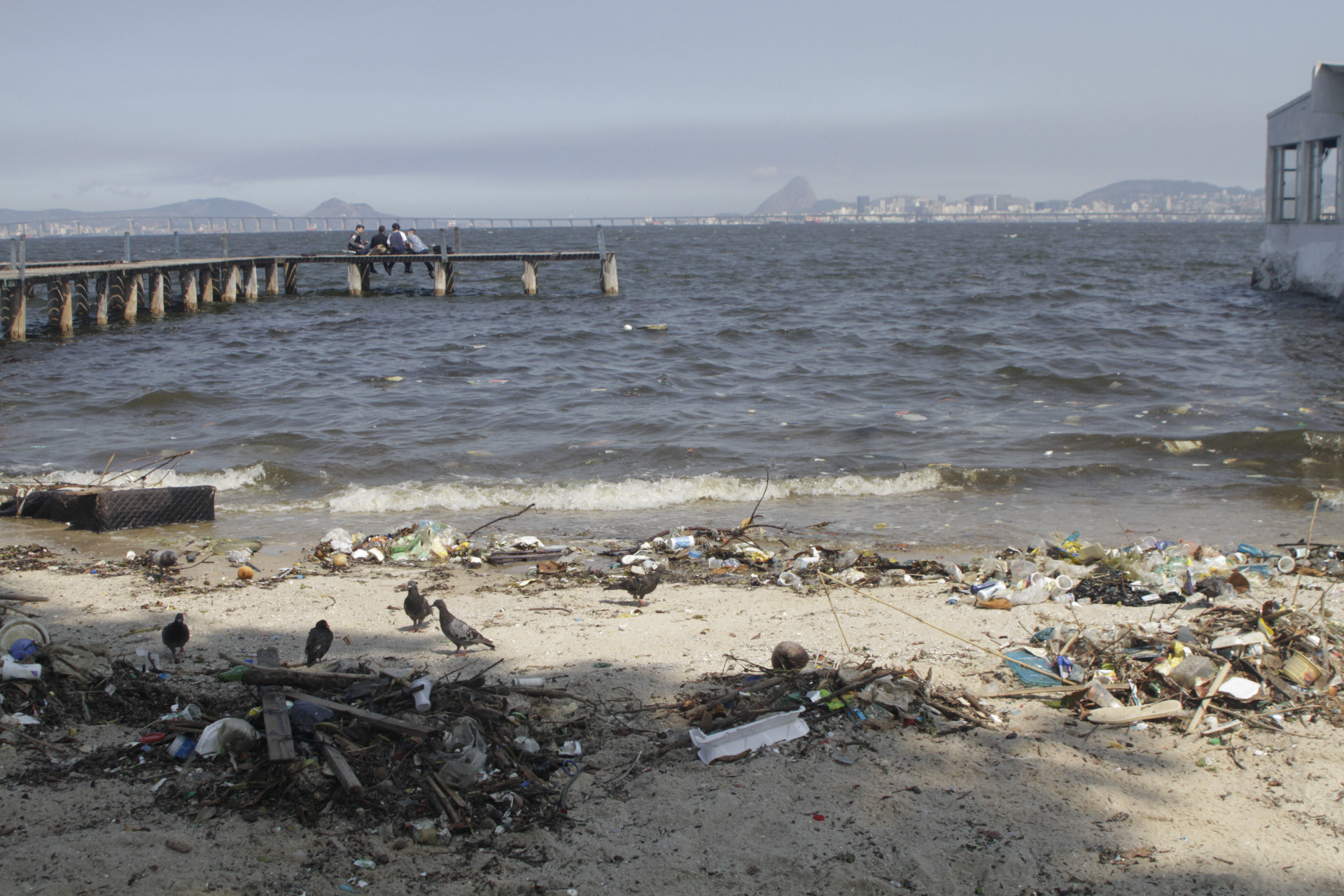 Mesmo com flagrante de lixo, Praia da Bica foi liberada para banho pelo Inea - Marcos Porto / Agência O Dia