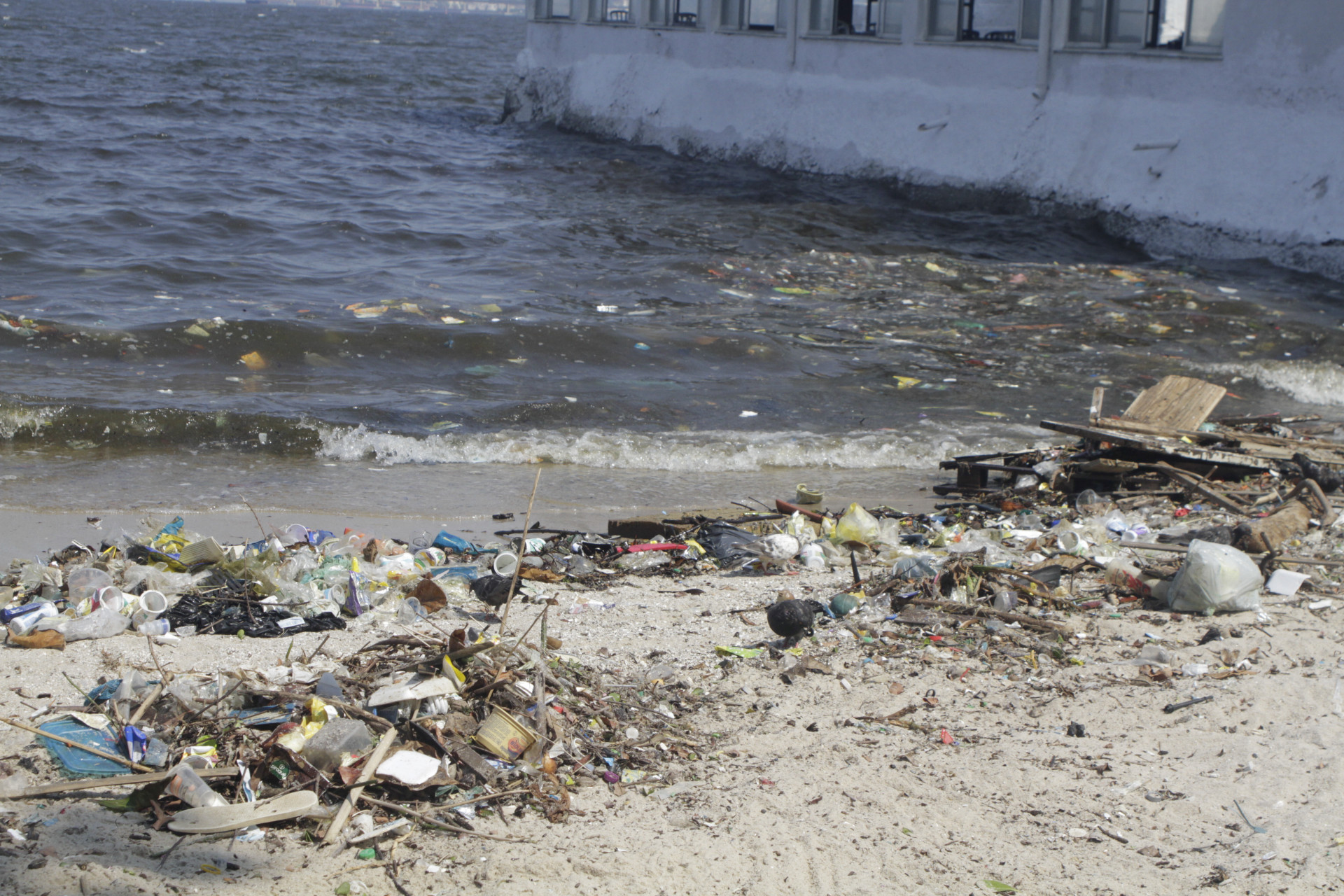 Mesmo com flagrante de lixo, Praia da Bica foi liberada para banho pelo Inea - Marcos Porto / Agência O Dia