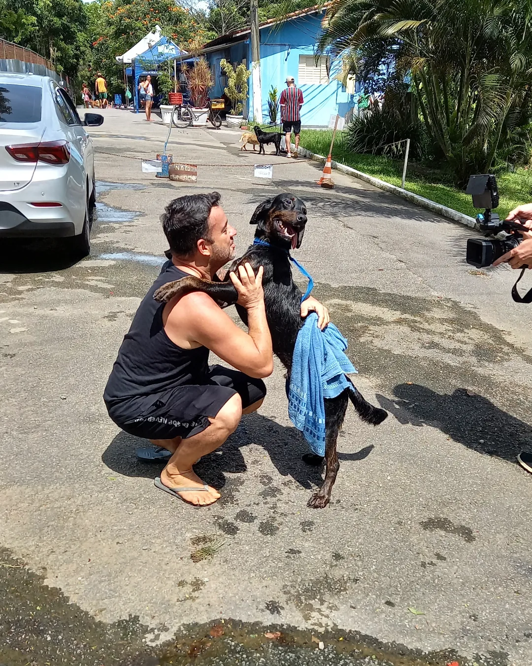 Voluntários promovem 'banhão' dos cachorros no abrigo municipal da Prefeitura do Rio