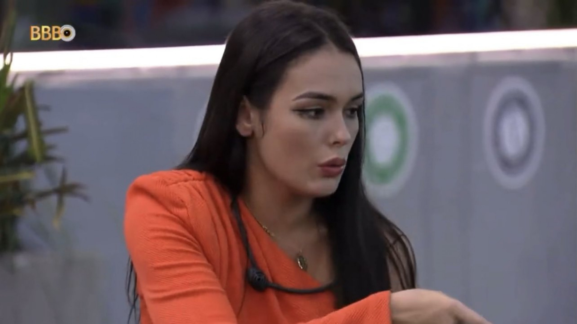 Fred e Nicácio contam o que sabem aos brothers - Reprodução