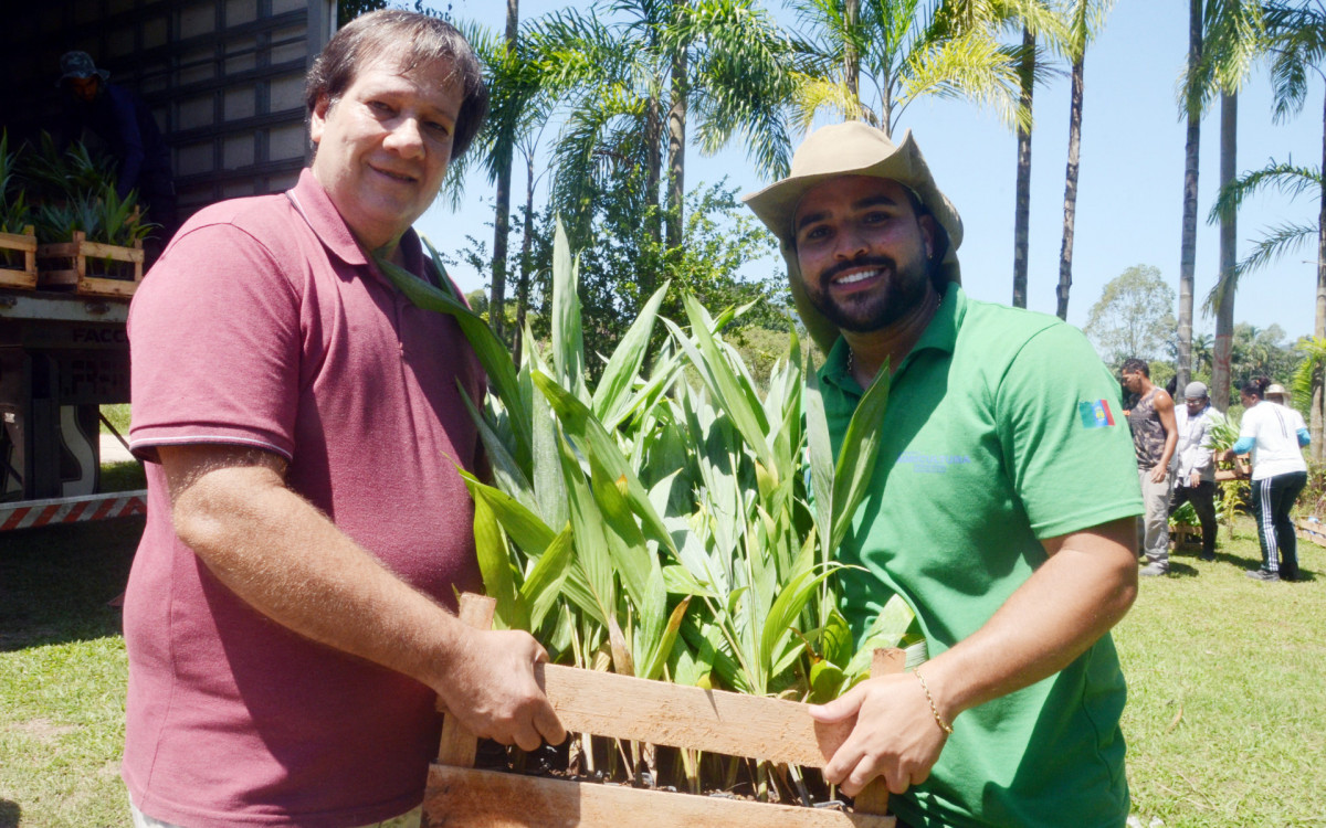 Magé distribui mudas para incentivar produtores rurais - Gilson Costa Jr/Divulgação