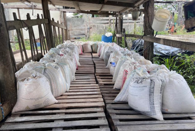 Produtores recebem apoio do governo municipal e produção de milho bate recorde