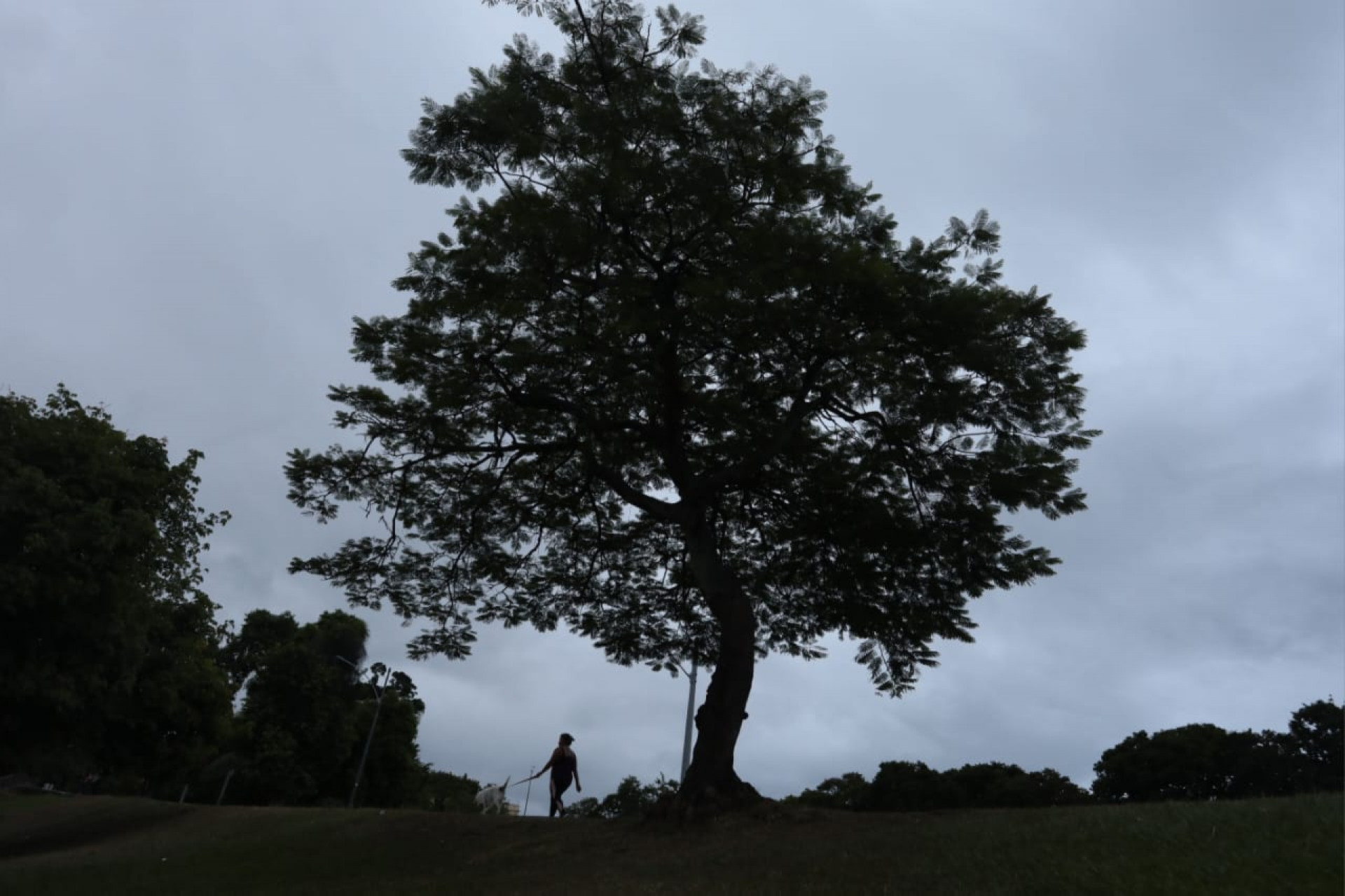 Clima nublado na Quinta da Boa Vista, nesta segunda-feira (27) - Pedro Ivo/Agência O DIA