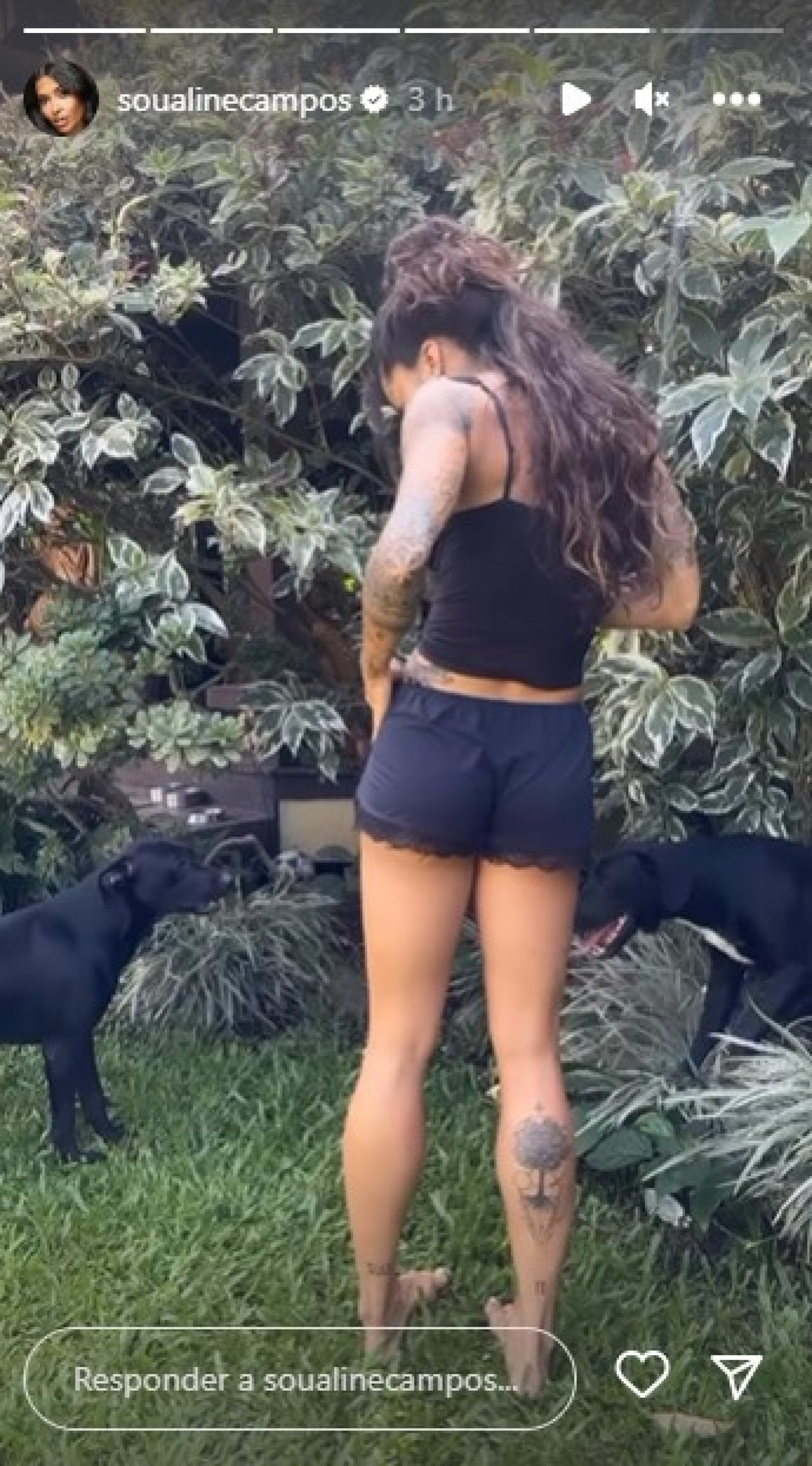 Atriz mostrou acidente com pet's enquanto gravava vídeo para as redes sociais - Reprodução/Instagram