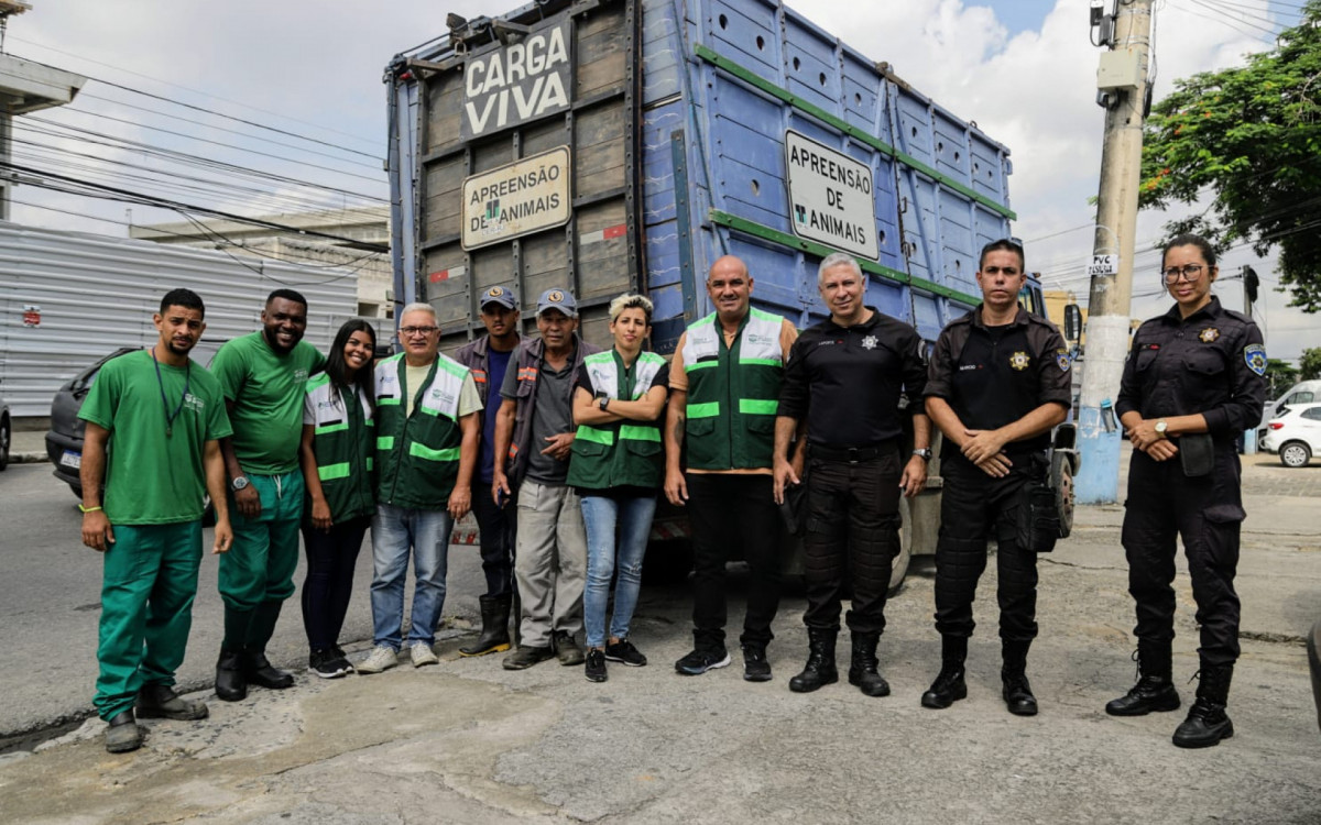 Subsecretaria de Bem-Estar Animal da Secretaria de Ambiente e Sustentabilidade montou uma a&ccedil;&atilde;o para resgatar cavalos abandonados 