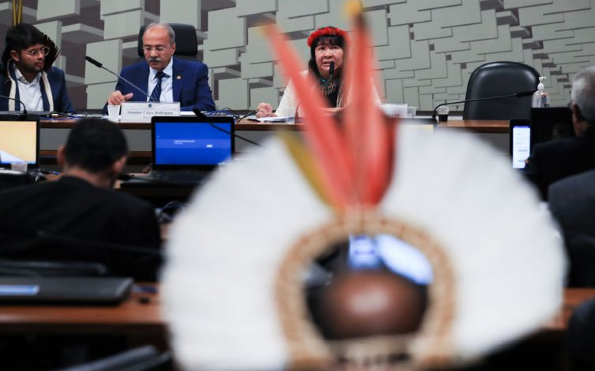 Comiss&atilde;o tempor&aacute;ria dos yanomami ouve representantes do governo federal