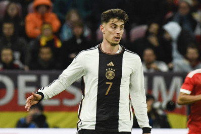 Havertz explica relação especial com burros: 'Onde me sinto em paz'