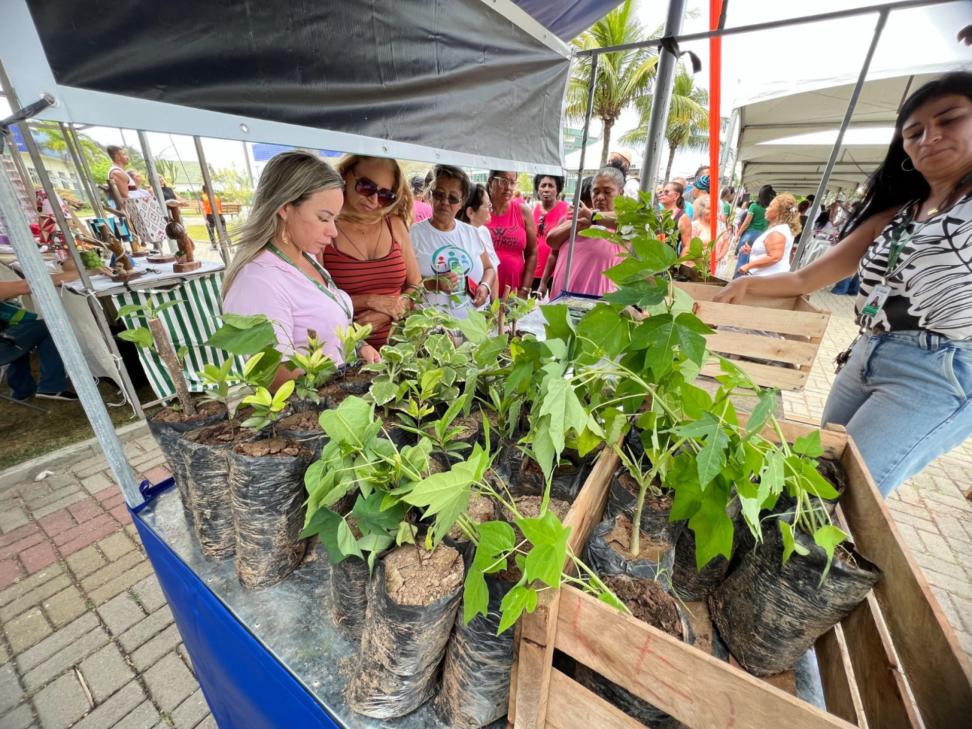 Prefeitura de Saquarema realiza ação social 