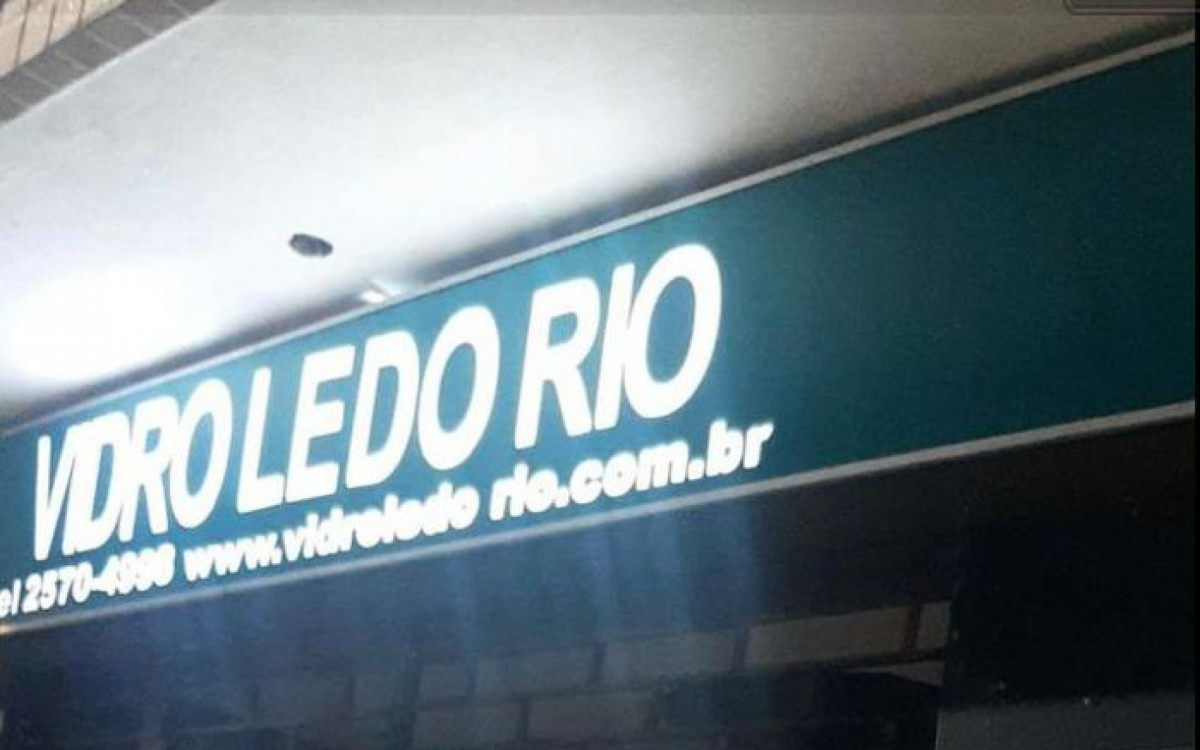 Curiosos pararam para tirar foto do animal