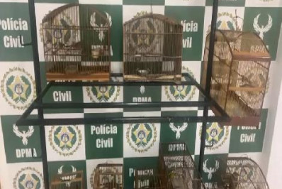 Polícia Civil resgata aves silvestres em São João de Meriti