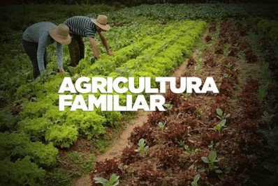 Educação fará chamada pública dia 14, para adquirir produtos da agricultura familiar