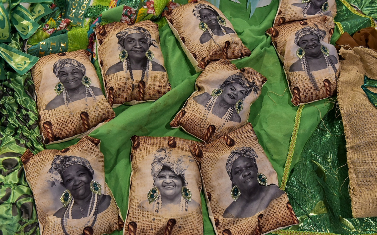 Bandeira usada pela Beija-Flor no desfile deste ano é incluída em exposição no MAM Rio - Divulgação/Eduardo Hollanda