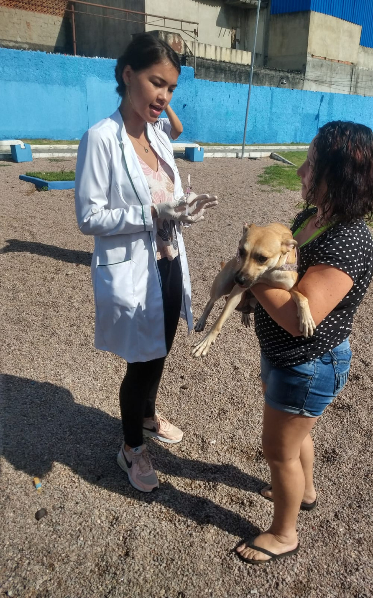 Caxias realiza a&ccedil;&atilde;o de combate ao mosquito da dengue e raiva animal - Divulga&ccedil;&atilde;o