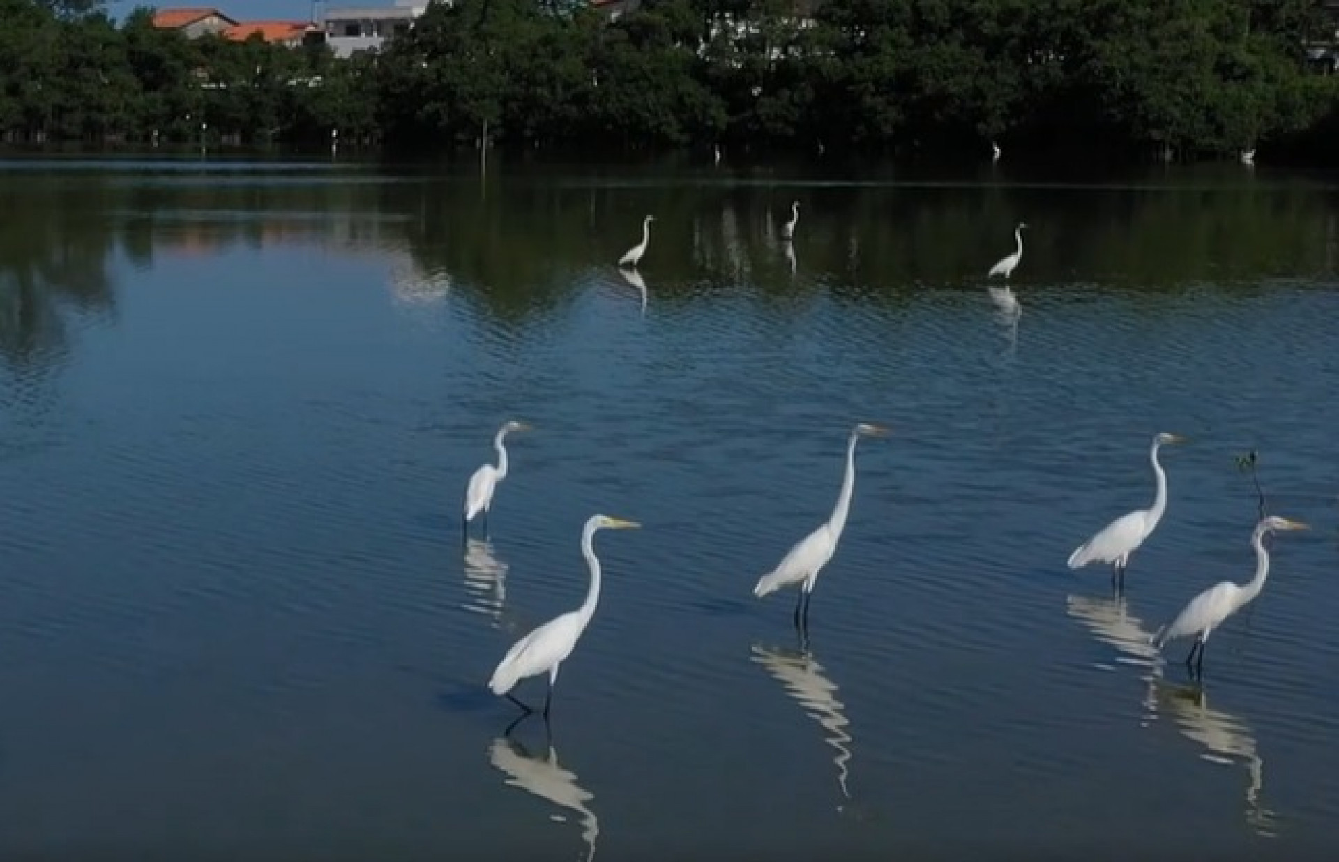 Lagoa das Marrecas, em Saquarema, passa por processo de revitalização - Divulgação/Prefeitura de Saquarema