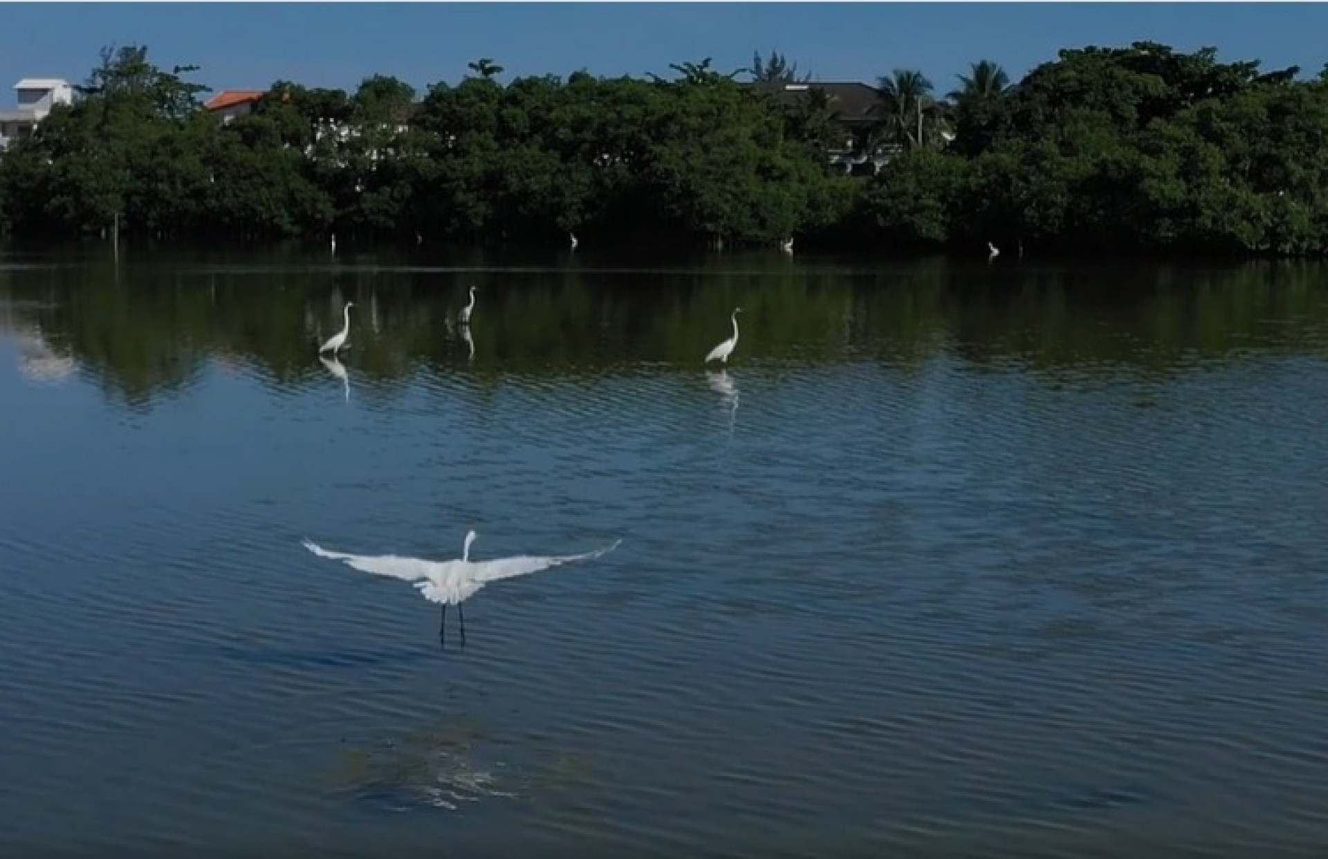 Lagoa das Marrecas, em Saquarema, passa por processo de revitalização - Divulgação/Prefeitura de Saquarema