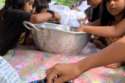 Aldeia Guarani Sapukai tem produção de polpa de palmito Juçara