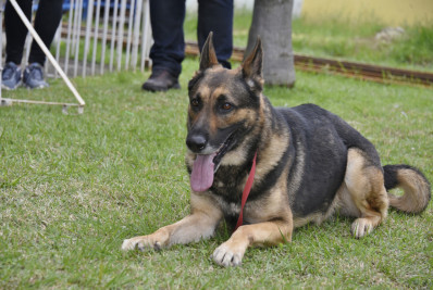 Mumbucão vira referência para Saquarema e Niterói