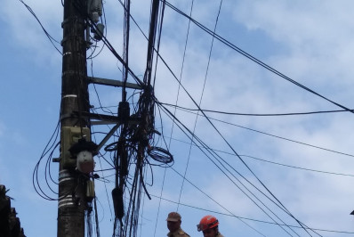 Gambá resgatada no Camorim