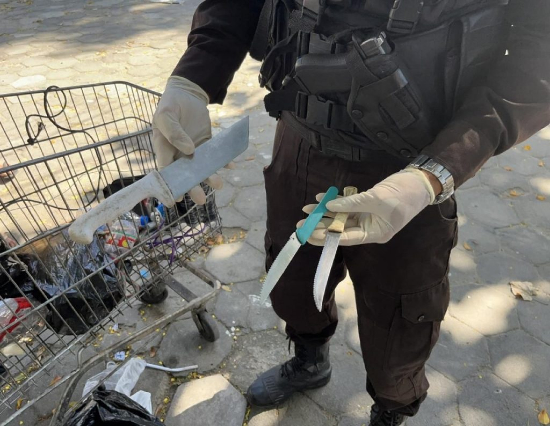 Divulgação/ PM - Letycia Rocha (RC24h)