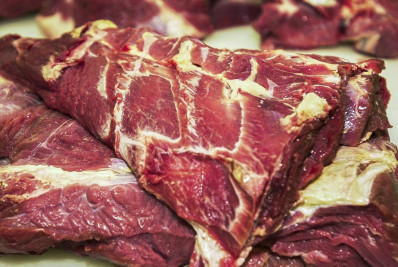 Rússia suspende embargo à importação de carne bovina brasileira