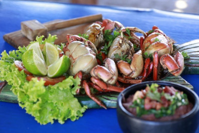 Festival do Caranguejo é retomado, depois de suspenso durante três anos por causa da pandemia