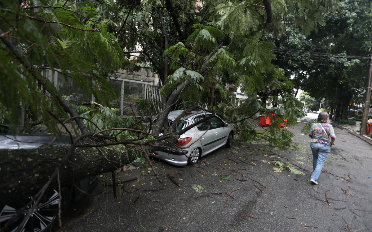 &Aacute;rvore caiu em cima de uma carro estacionado na Rua Itacuru&ccedil;&aacute;, na Tijuca