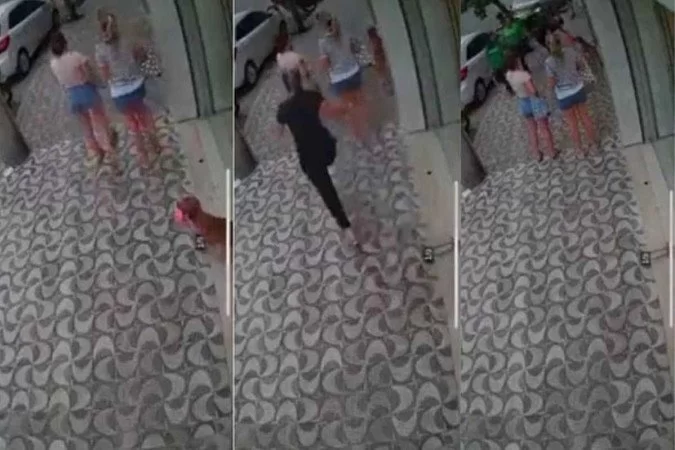 Vídeo: cachorro 'furta' biquíni cor-de-rosa de loja