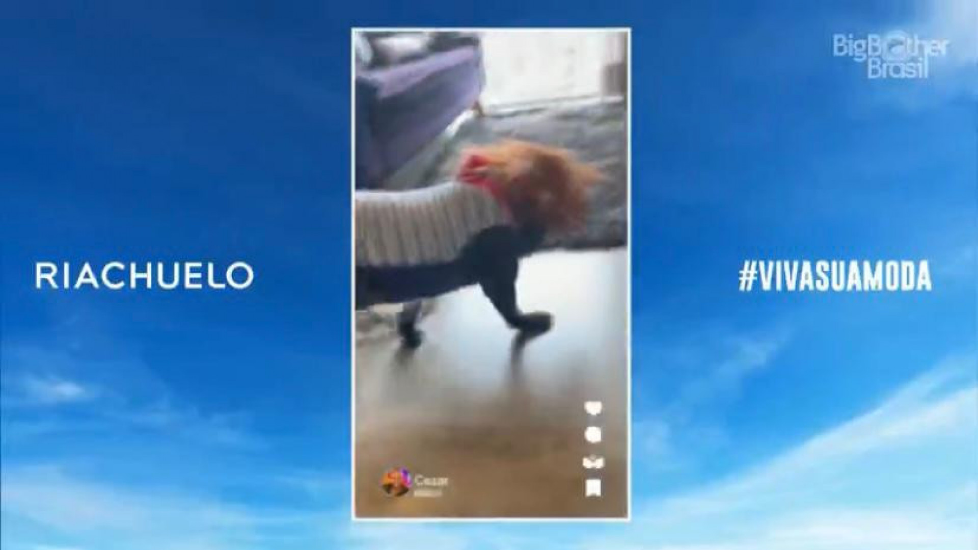 Rocco rouba a cena durante o Almoço do Anjo - Reprodução / TV Globo