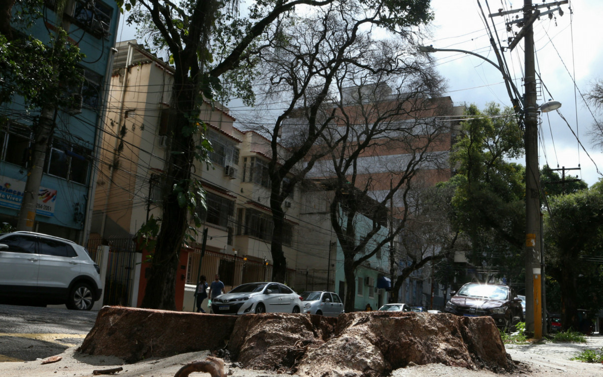 Per&iacute;cia colhe material em &aacute;rvores na Rua Afonso Pena, na Tijuca