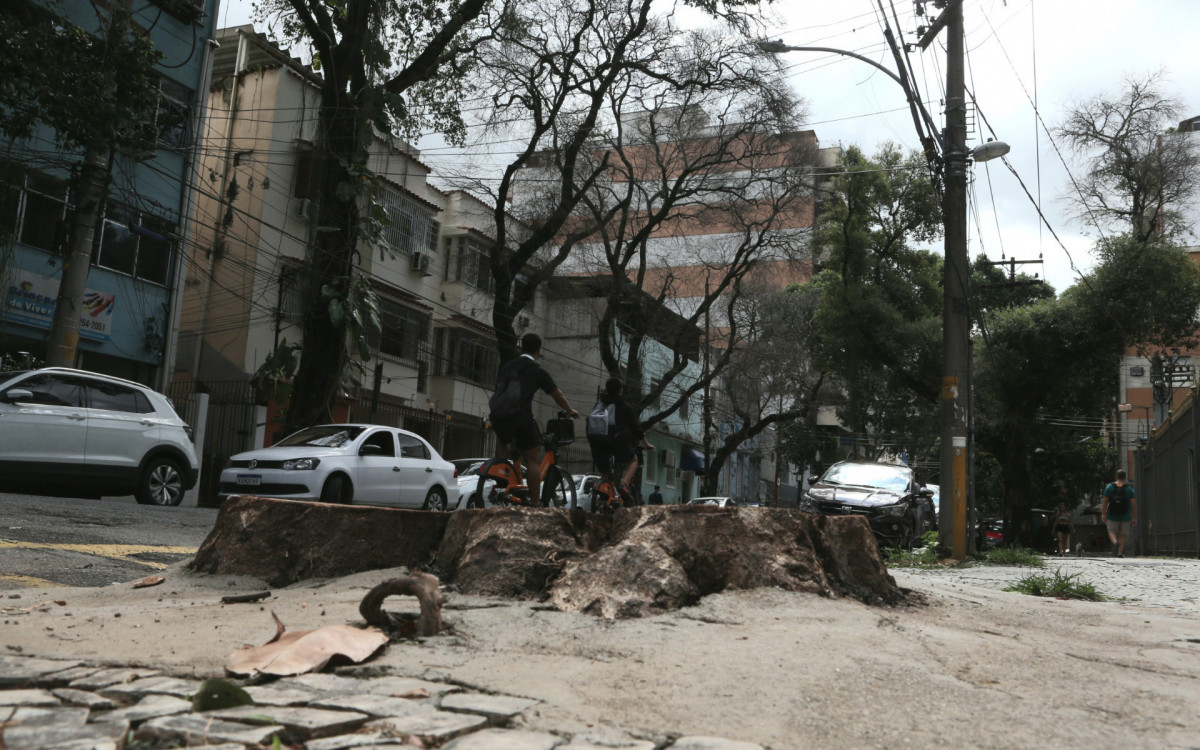 Per&iacute;cia colhe material em &aacute;rvores na Rua Afonso Pena, na Tijuca