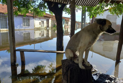 Rompimento de barragem alaga 23 casas e deixa 32 desalojados no Ceará
