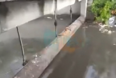 ONG denuncia despejo de esgoto na Praia do Siqueira, em Cabo Frio