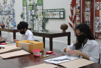 Jardim Botânico do Rio oferece bolsas de iniciação científica para jovens de baixa renda