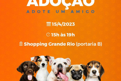 Feira de Adoção de Pets acontece neste sábado (15) no Shopping Grande Rio