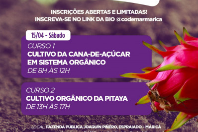 Inova realiza cursos de cultivo de pitaya e cana-de-açúcar neste sábado