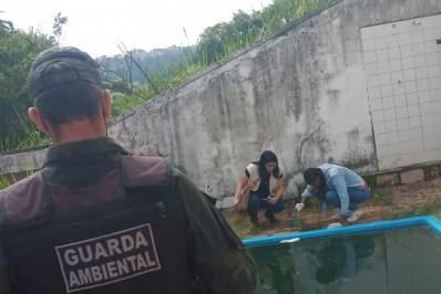 Saúde e Meio Ambiente trabalham em conjunto no combate à dengue