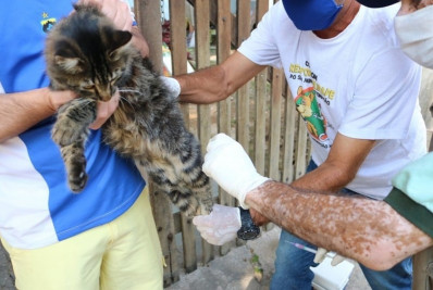 Maringá e Maromba recebem vacinação antirrábica