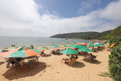 Enquanto municípios da Região dos Lagos vivem desordem nas suas praias, Praia da Tartaruga em Búzios passará por Plano de Recuperação Florestal