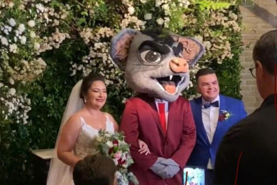 Vídeo: mascote de clube brasileiro participa de casamento e entrega as alianças aos noivos