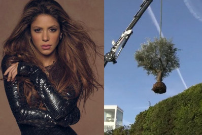 Shakira manda retirar árvore da casa que vivia com Gerard Piqué