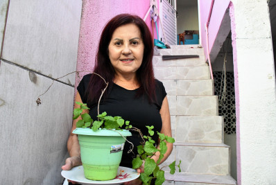 Niterói teve apenas nove casos confirmados de dengue em 2023