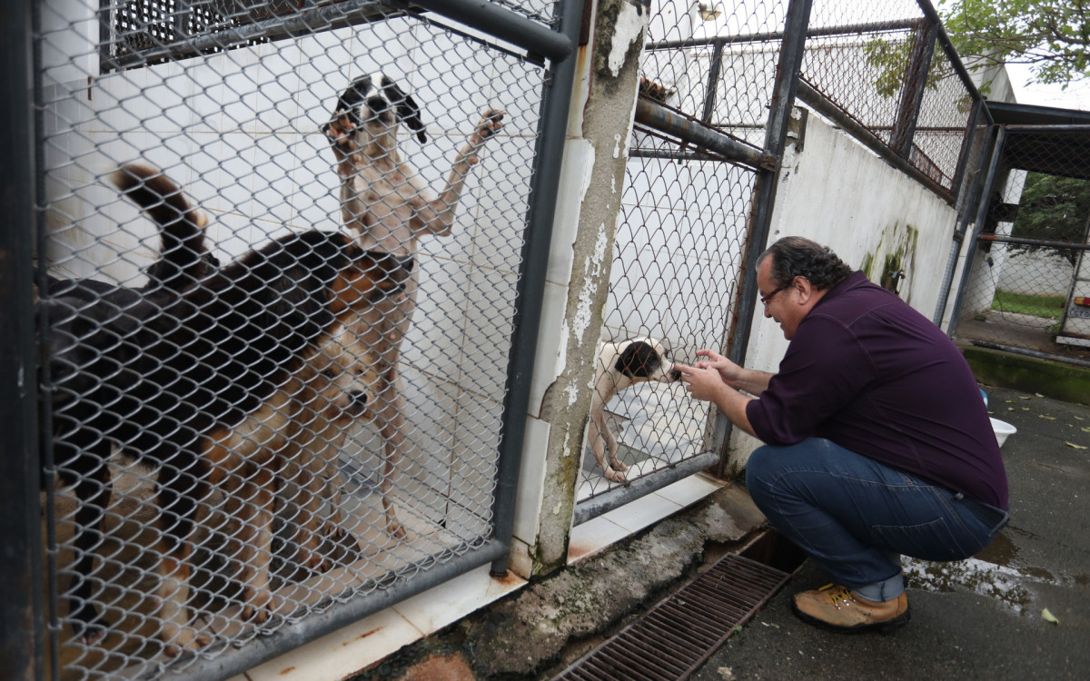 Cachorros e outros hóspedes chegam em petição de miséria, mas são bem tratados e postos para adoção
