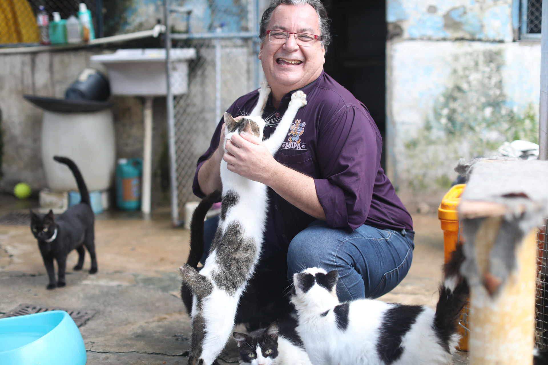 Suipa completa 80 anos e luta para sobreviver em meio as d&iacute;vidas - Pedro Ivo/ Ag&ecirc;ncia O Dia