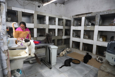 Suipa completa 80 anos e tem sobrevivência ameaçada por dívida de quase R$ 90 milhões