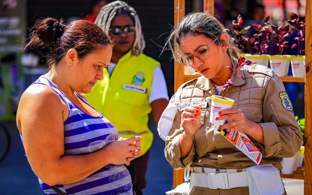 Durante a a&ccedil;&atilde;o foram distribu&iacute;das entregues mudas de plantas que simbolizam a vida