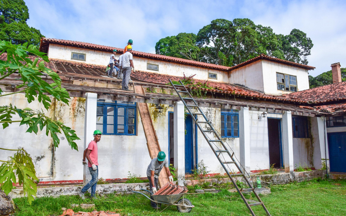 Restaura&ccedil;&atilde;o &eacute; um dos principais projetos de Paty