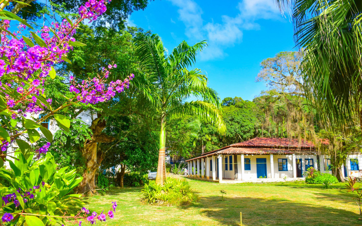 Restaura&ccedil;&atilde;o &eacute; um dos principais projetos de Paty