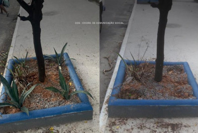 Prefeitura de Mesquita revitaliza jardim vandalizado próximo ao Tênis Clube